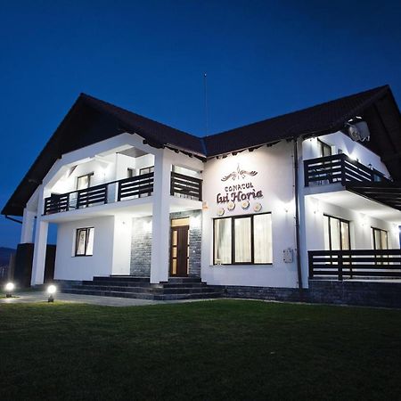 Pensiunea Conacul Lui Horia Bistriţa Εξωτερικό φωτογραφία